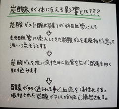 2014-03-12-11-09-56_deco.jpg